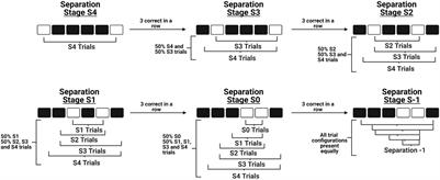 Decision Making in Mice During an Optimized Touchscreen Spatial Working Memory Task Sensitive to Medial Prefrontal Cortex Inactivation and NMDA Receptor Hypofunction